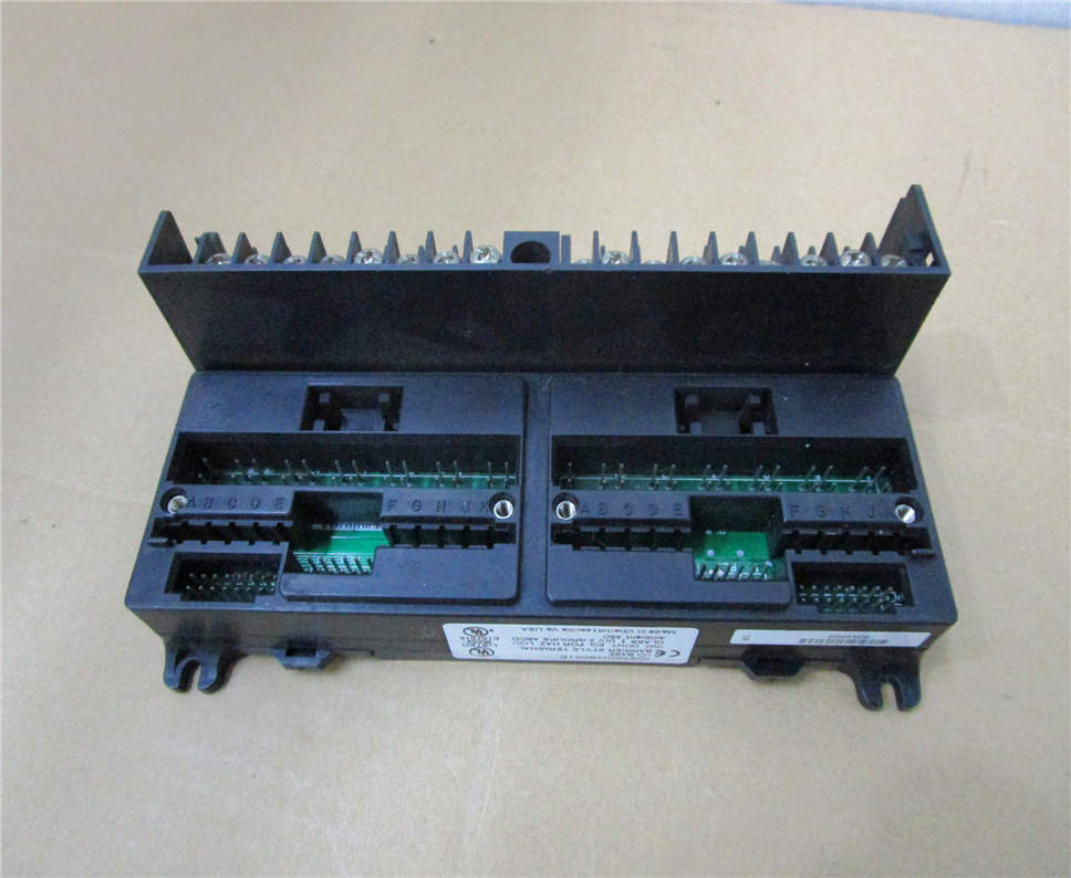 General Electric IC670CHS001/E Module