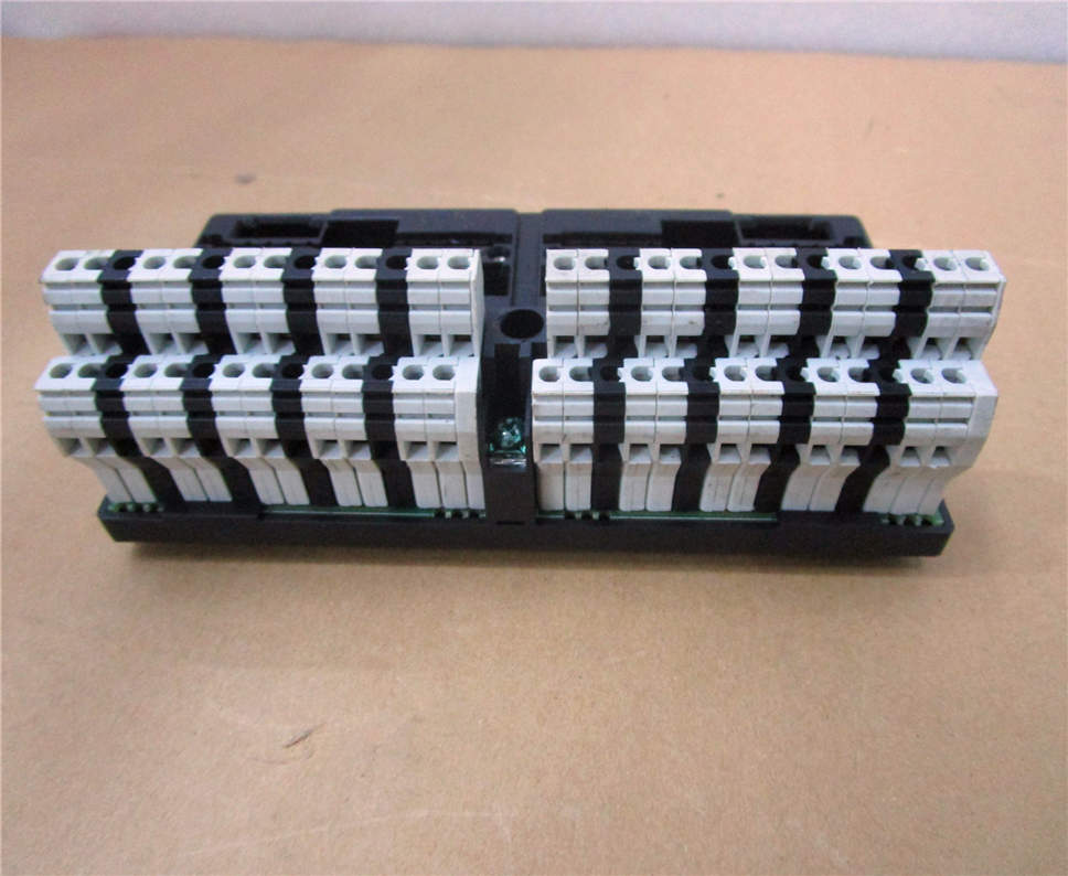 General Electric IC670CHS002/E Module