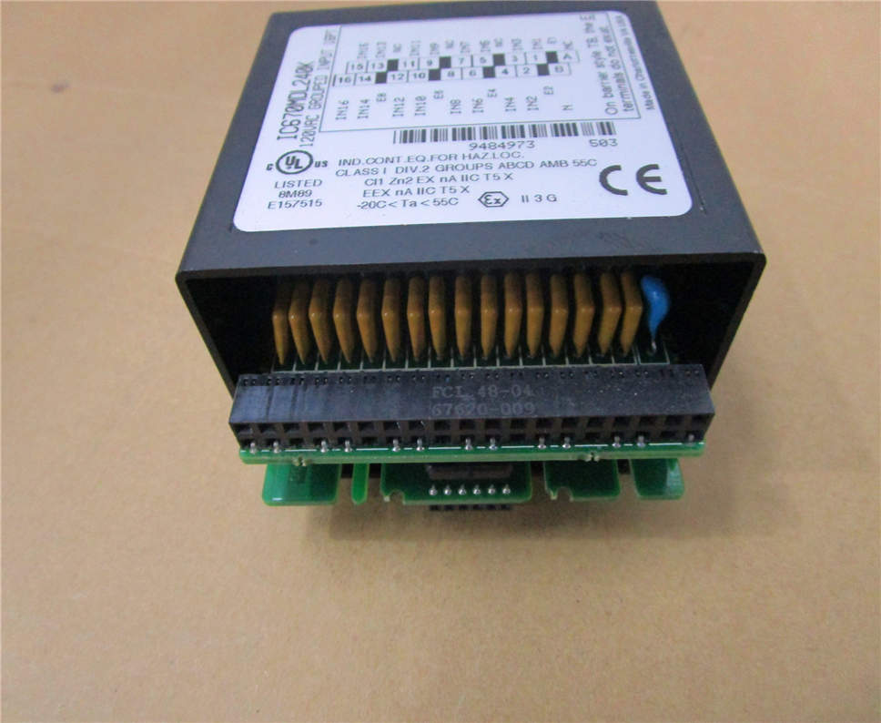 General Electric IC670MDL240/K Module