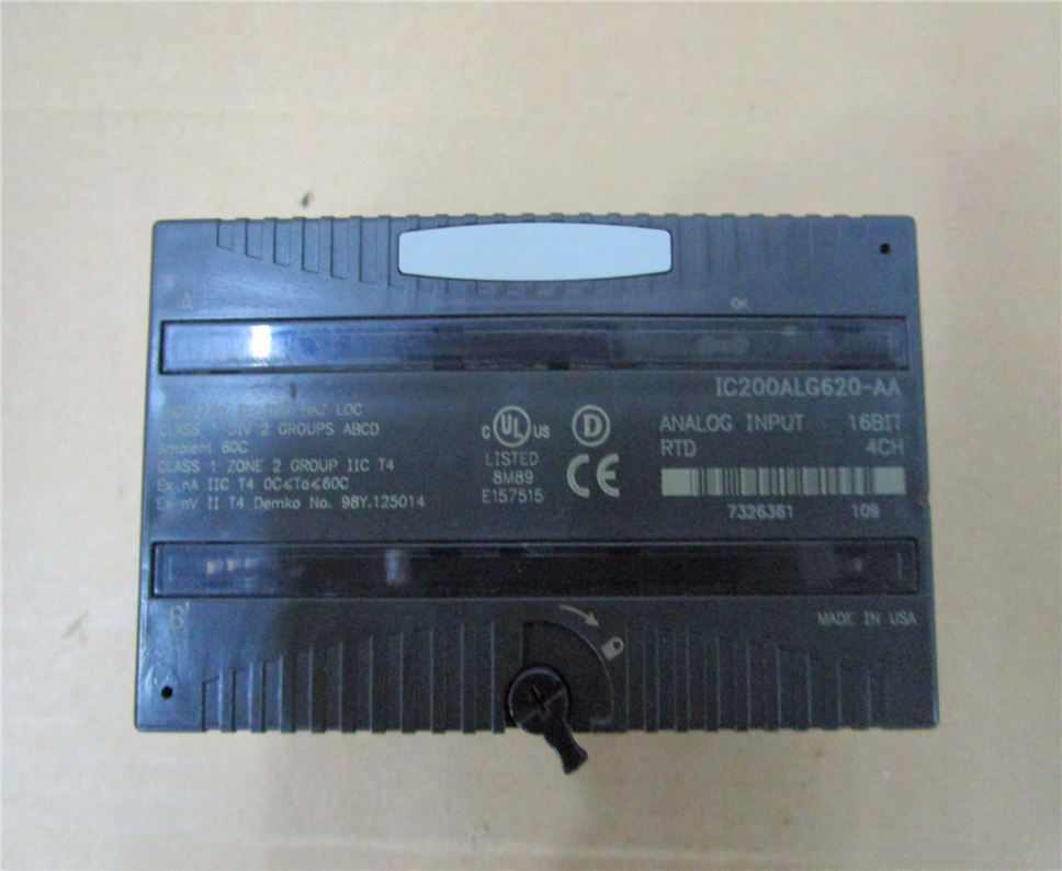 General Electric IC200ALG620-AA Module