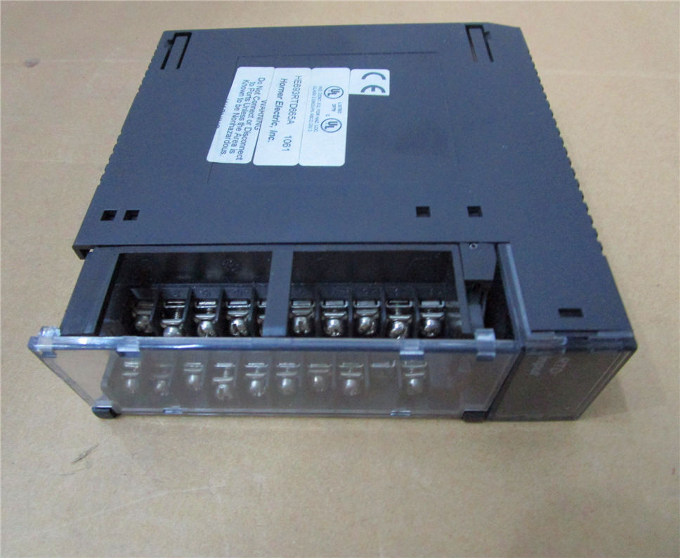 General Electric HORNER-HE693RTD665A Module