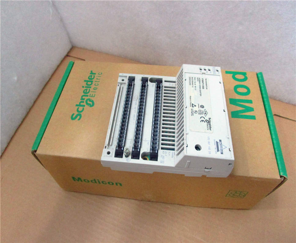 Schneider 170INT11003 Module