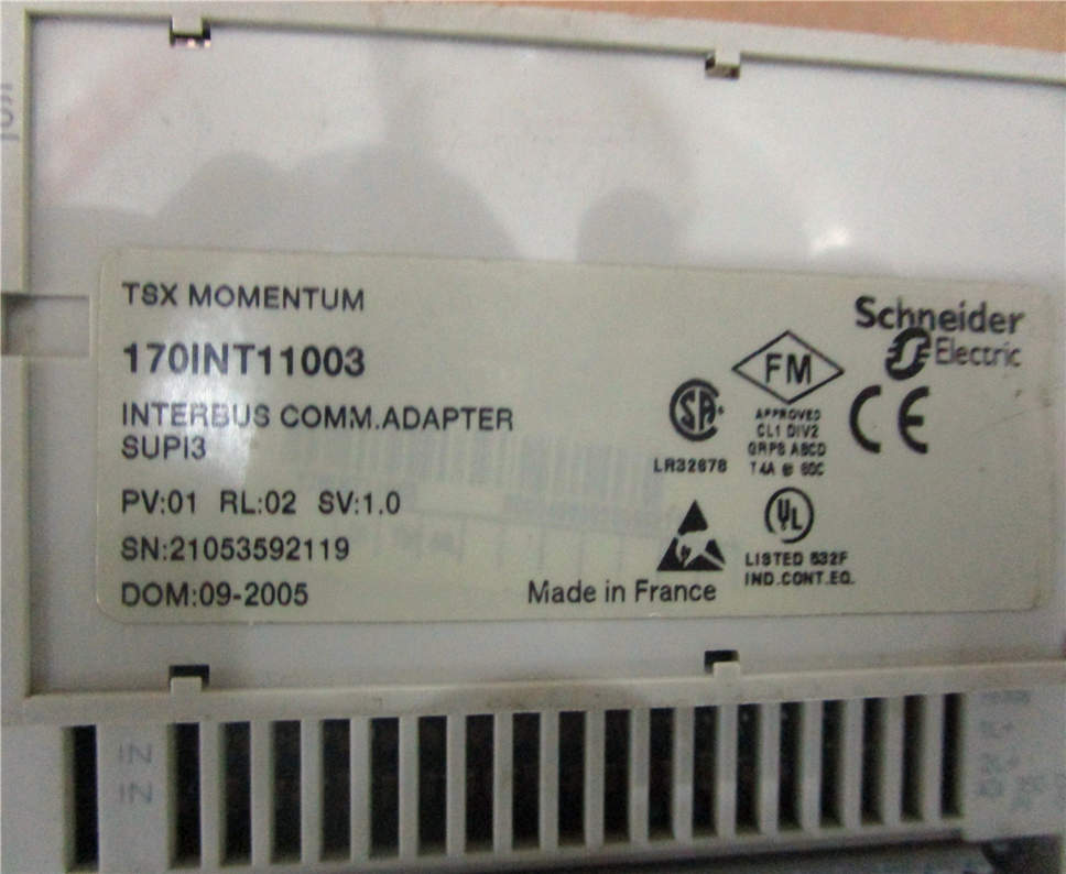 Schneider 170INT11003 Module