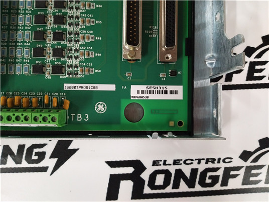 GE DS200TCPDG1B Analog Output Modules