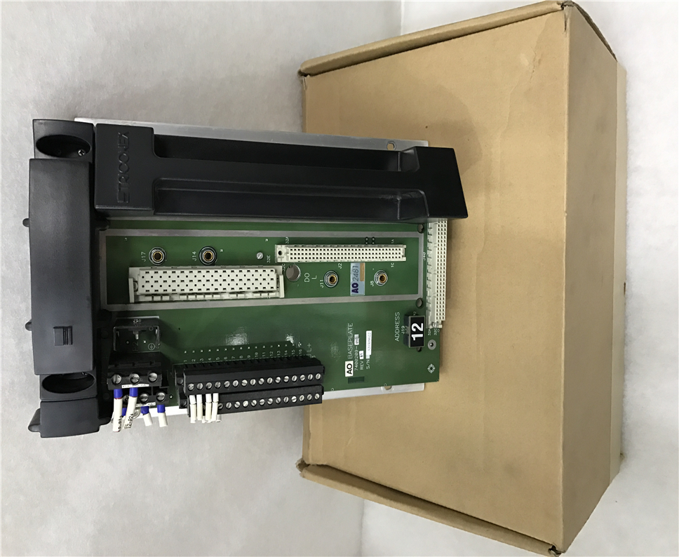 TRICONEX AO2481 Module