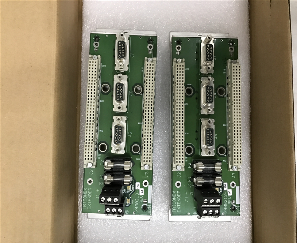 TRICONEX 7400213-100 Module