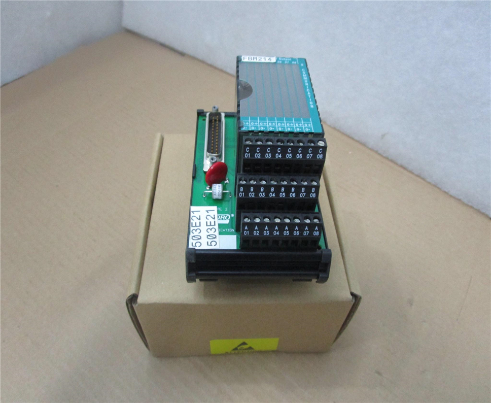 FOXBORO P0916BX Module