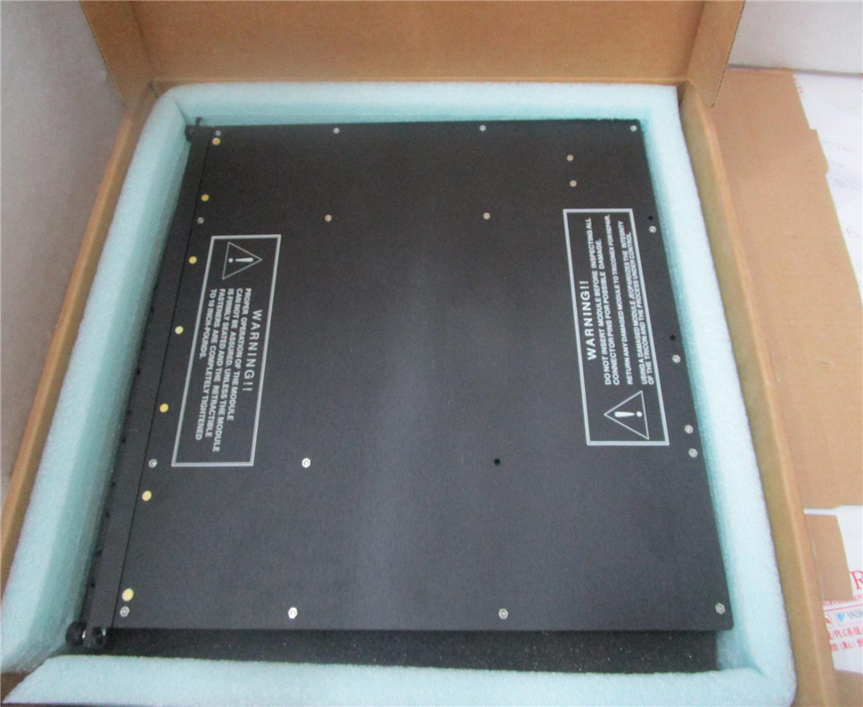 TRICONEX 4351b Module