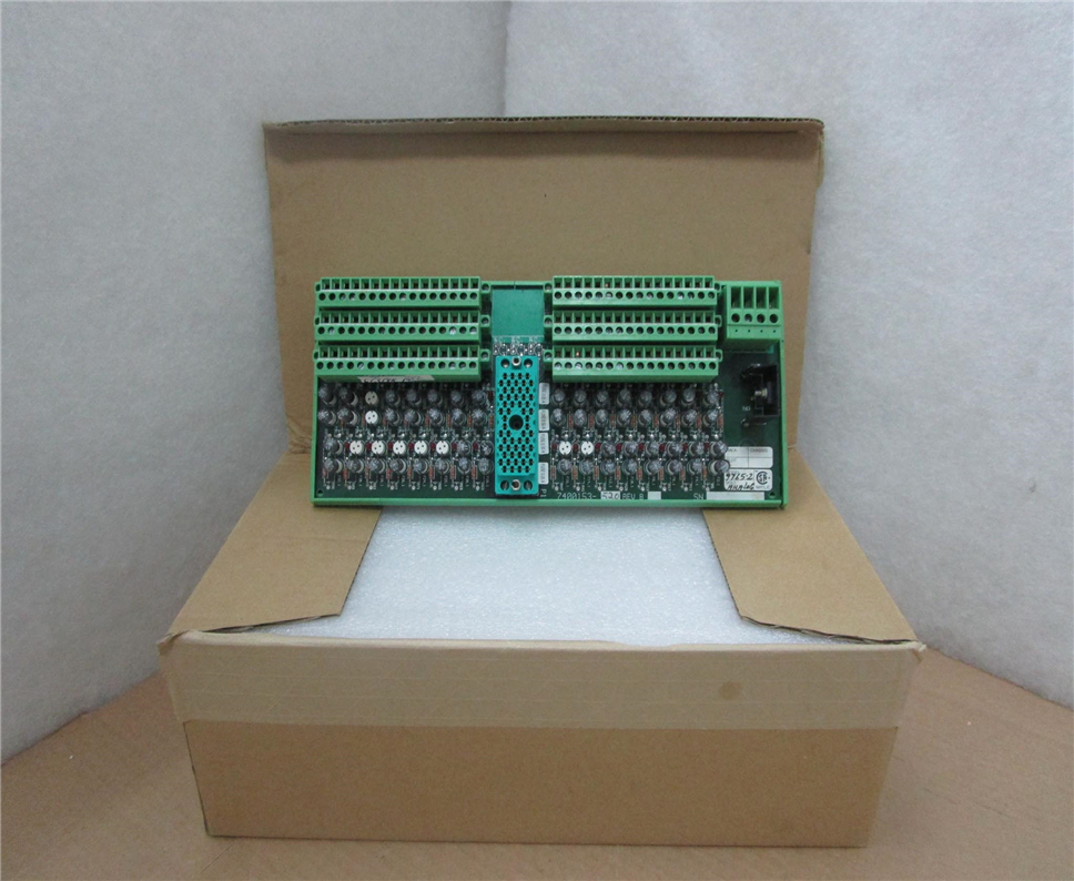 TRICONEX 9765-210 Module