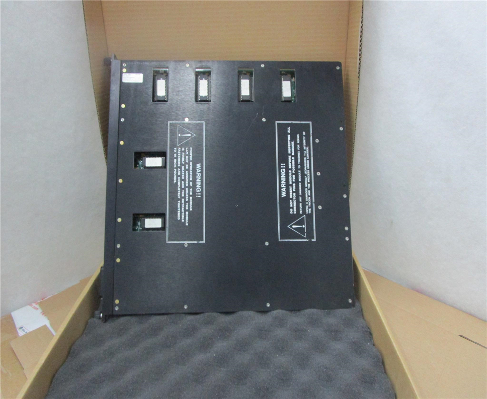 TRICONEX 3005 Module