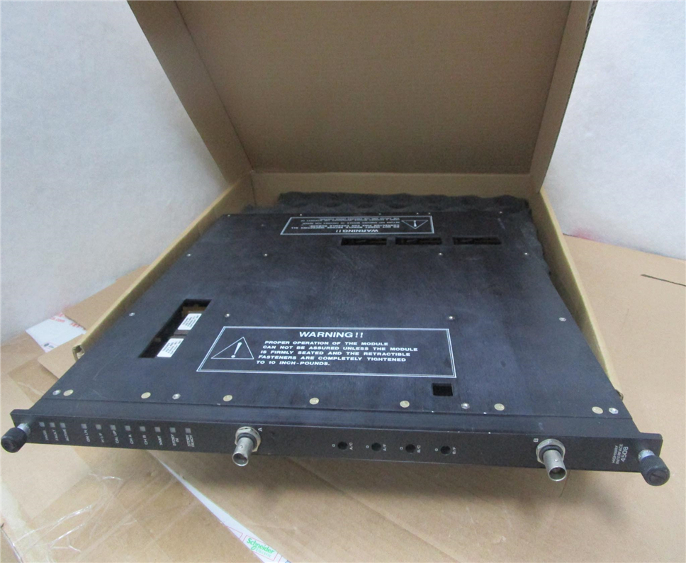 TRICONEX 4508 Module