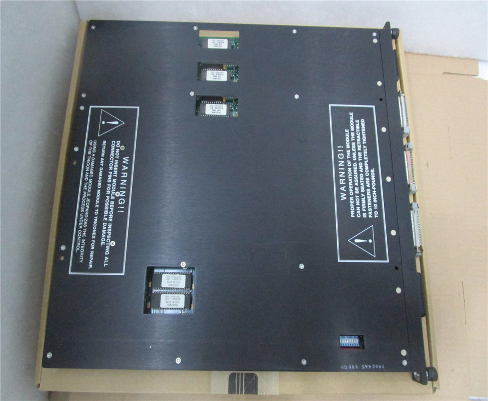 TRICONEX 4119A Module