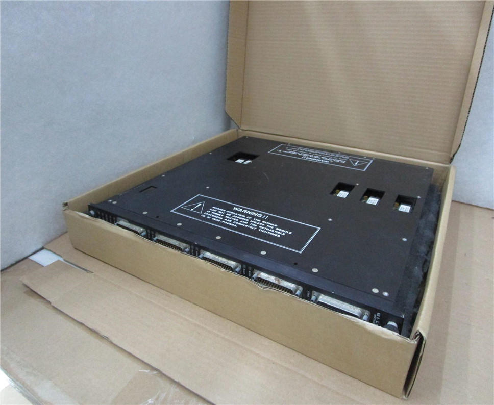 TRICONEX 4119 Module