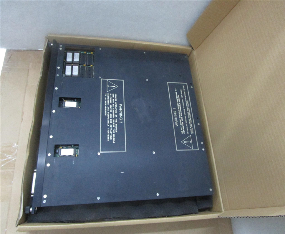 TRICONEX  3002 Module