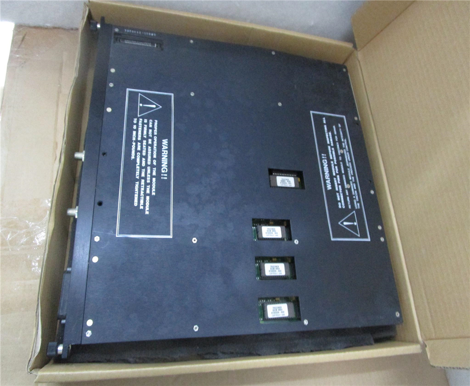 TRICONEX 4201 Module