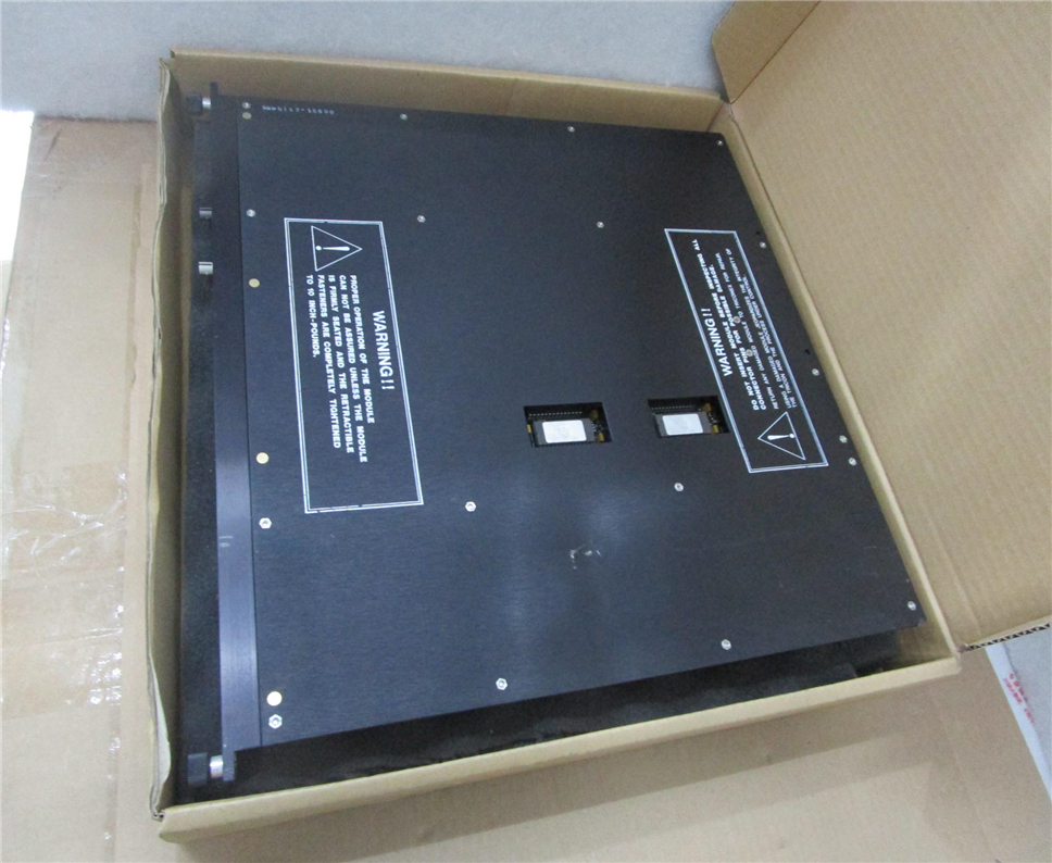 TRICONEX 4200 Module