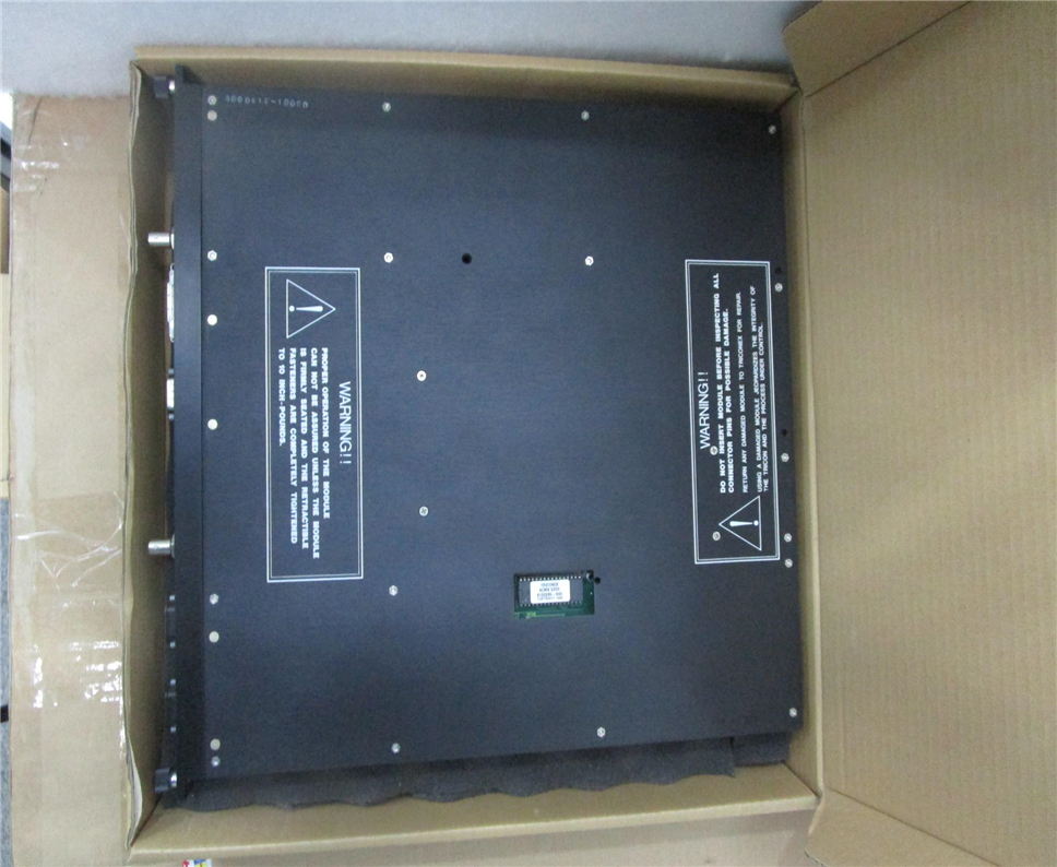 TRICONEX 3623T Module