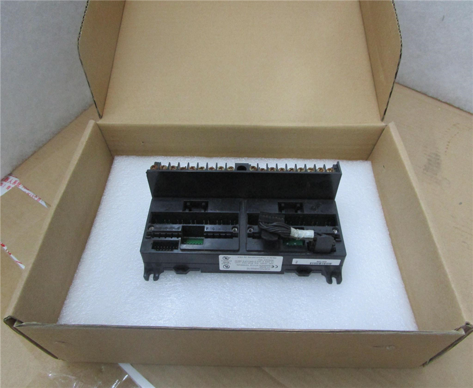 General Electric IC670CHS001 Module