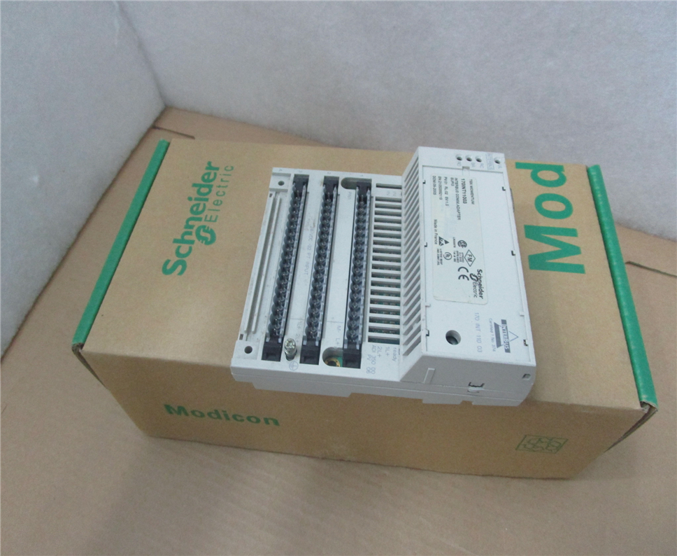 SCHNEIDER 170INT11003 Module