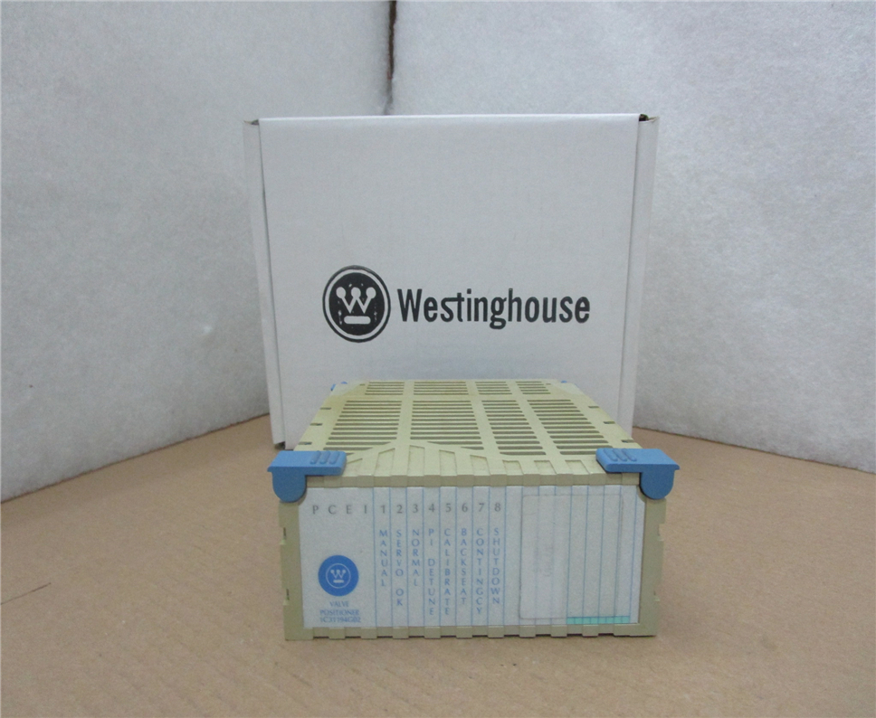 WEISTINGHOUSE 1C31194G02 Module