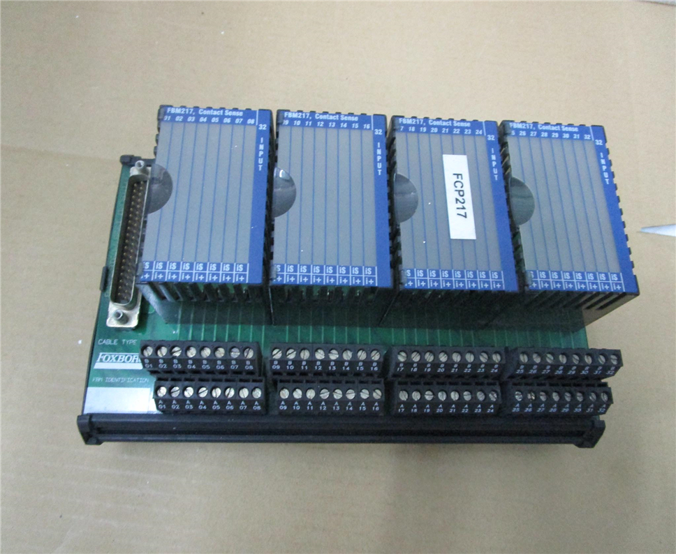 FOXBORO-P0916PW0C Module