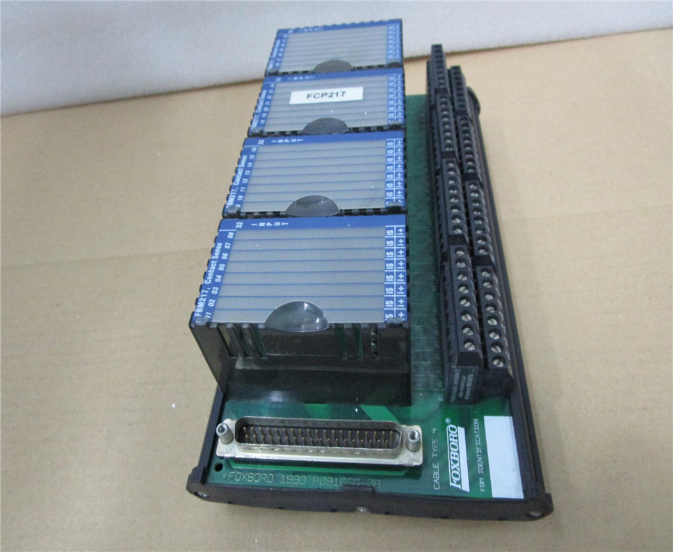 FOXBORO-P0916PW0C Module