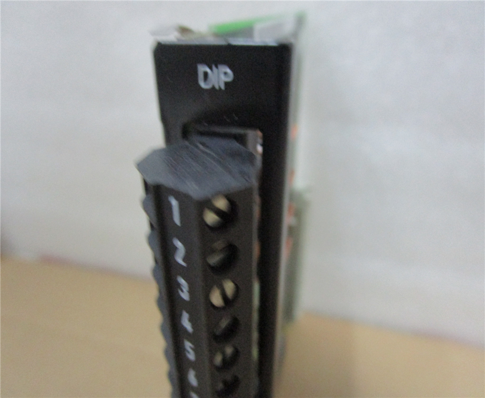 SEW DIP Module