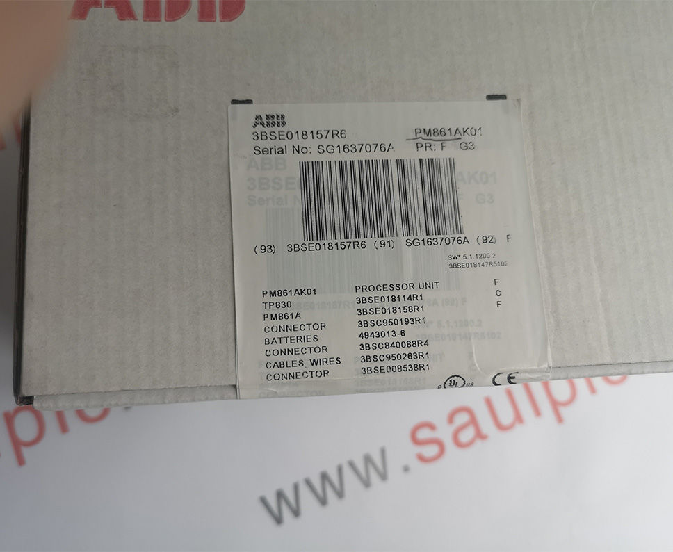 ABB DPW01 Module