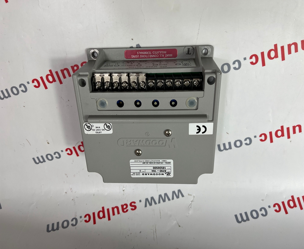 8290-184 WOODWARD Power Supply