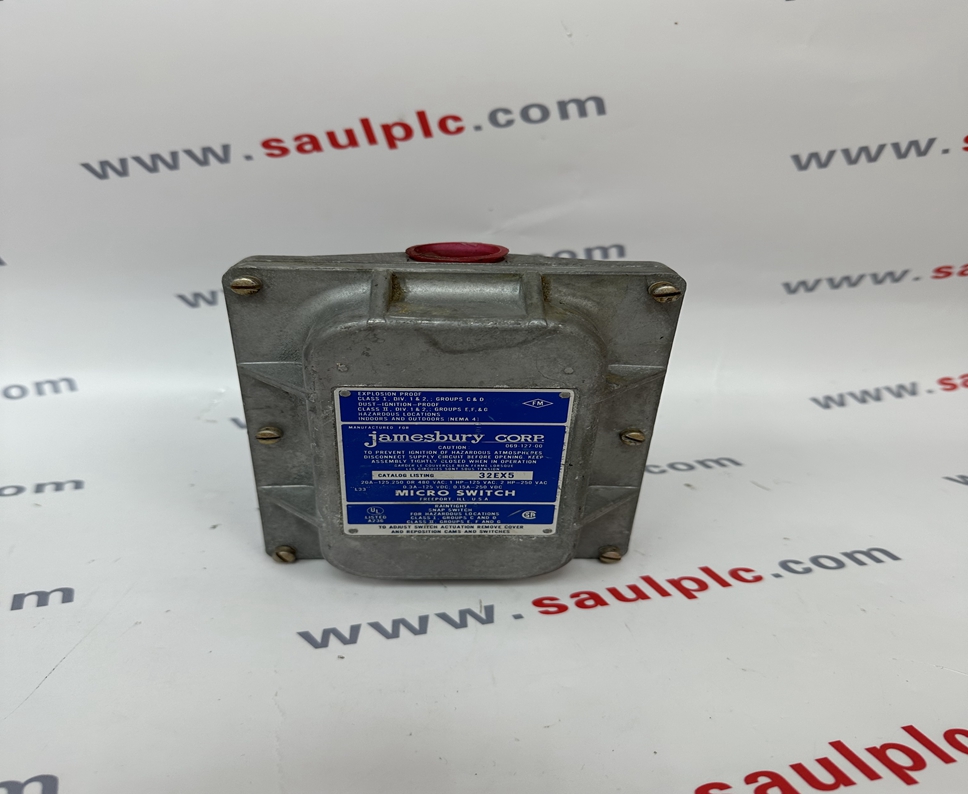 NELES-JAMESBURY 32EX5 Raintight Snap Limit Switch