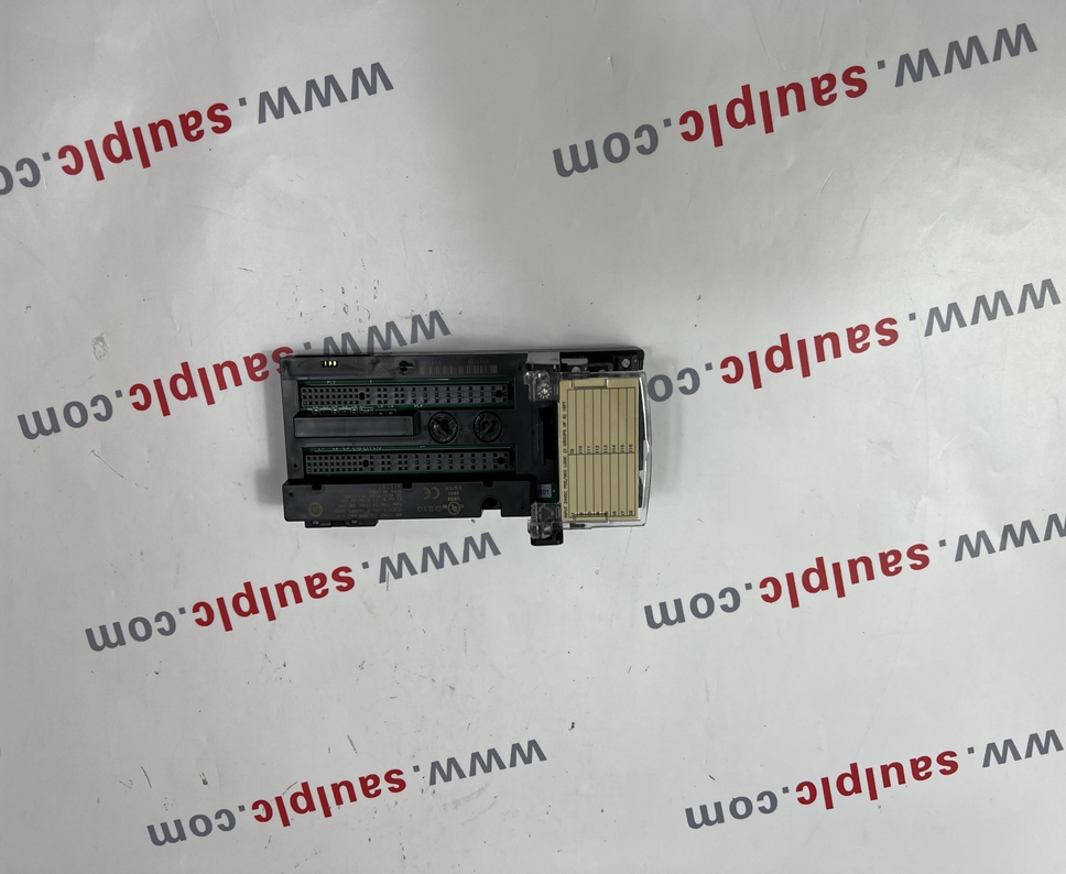 IC200CHS022L GE  Carrier module