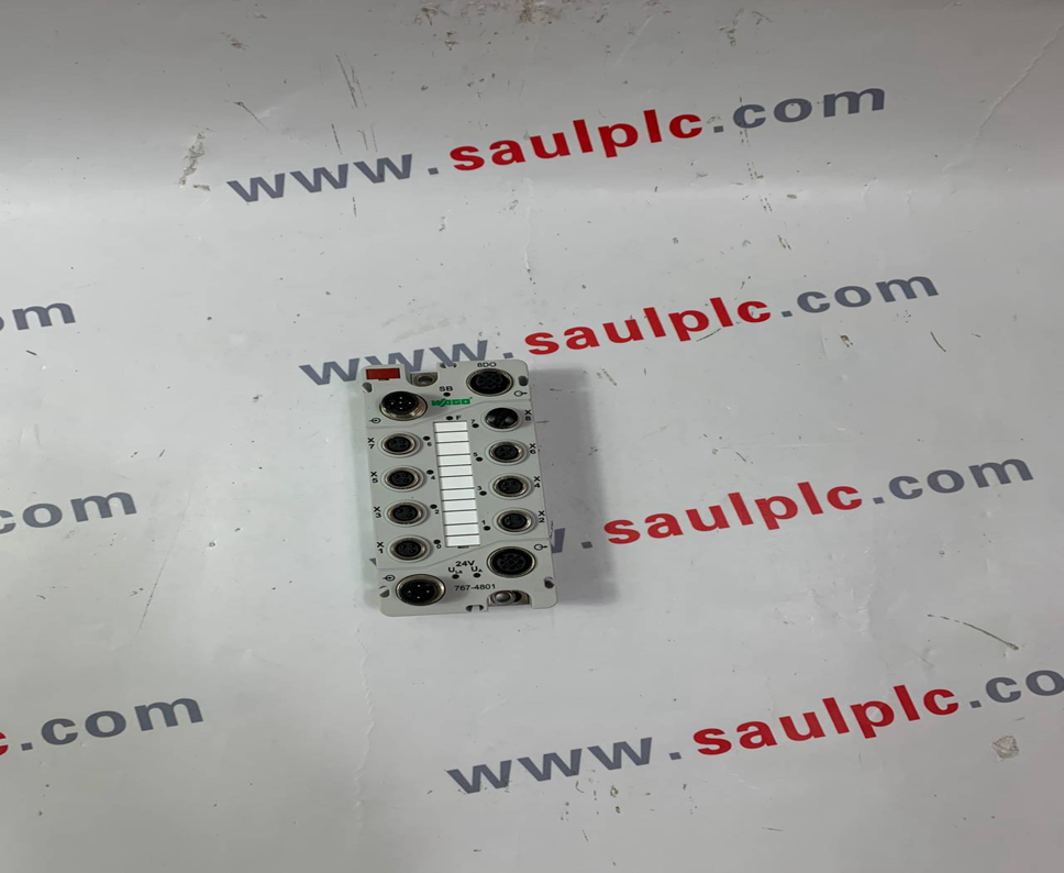 WAGO 767-4801   Input Module